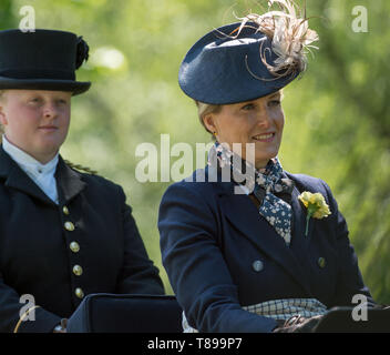 Windsor, Großbritannien. 12. Mai 2019. Sophie Wessex Beförderung im Royal Windsor Horse Show fahren. Credit: Maureen McLean/Alamy leben Nachrichten Stockfoto