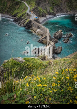 An der Küste von San Juan de Gaztelugatxe, Dragon-Stein im Spiel der Throne, die Brücke und die Steintreppe. Gelbe Blüten im Frühjahr und Sommer Stockfoto