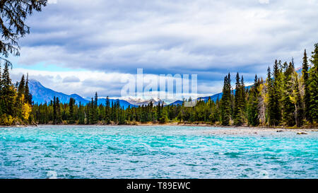 Die Sitzung der Flüsse, wo der Athabasca River und der Whirlpool Fluss im Jasper Nationalpark in den Kanadischen Rocky Mountains in Alberta erfüllen Stockfoto