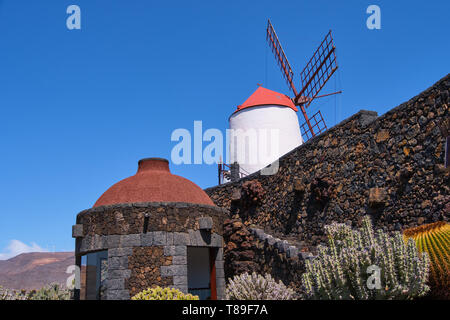 Ansicht Der Cactus Garten mit seiner Windmühle, Jardin de Cactus in Guatiza, Lanzarote, Kanarische Inseln, Spanien Stockfoto