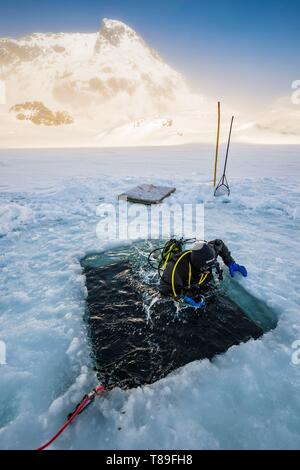 Frankreich, Isère (38), Belledonne, Chamrousse, Robert Seen, ein Taucher, Tauchen unter dem Eis-Dive Xtreme Stockfoto