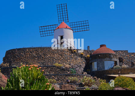 Ansicht Der Cactus Garten mit seiner Windmühle, Jardin de Cactus in Guatiza, Lanzarote, Kanarische Inseln, Spanien Stockfoto