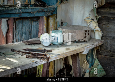 Verlassen kleines Haus in Weißrussland Tschernobyl Sperrzone, die vor kurzem für die Öffentlichkeit ab April 2019 geöffnet. Stockfoto