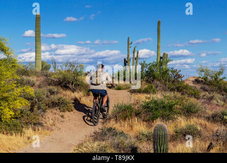 Mountainbiken in der Wüste von Arizona in der Nähe von Phoenix Stockfoto