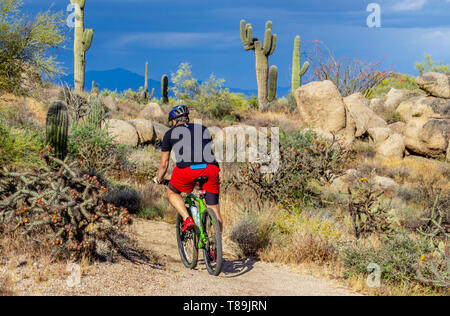 Mountainbiken in der Wüste von Arizona in der Nähe von Phoenix Stockfoto