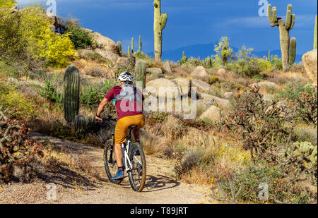 Mountainbiken in der Wüste von Arizona in der Nähe von Phoenix Stockfoto