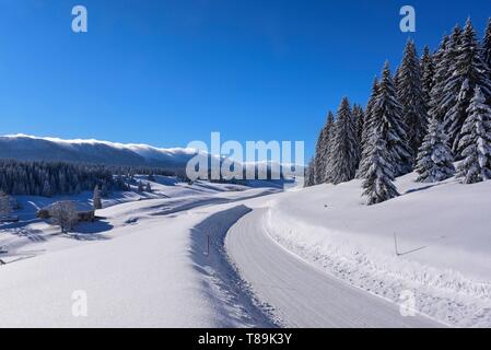 Frankreich, Jura, GTJ, große Überfahrt von Jura auf Schneeschuhen, verschneite Straße in die Landschaft der Hochebene von Hautes Combes Stockfoto