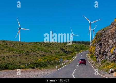 Portugal, Madeira, Hochebene von Paul da Serra praktisch für die Errichtung von Windkraftanlagen. Stockfoto