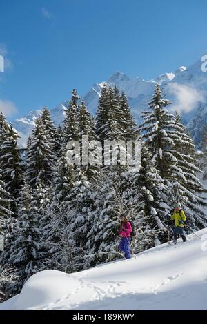 Frankreich, Haute Savoie, Massif des Mont Blanc, der Contamines Montjoie, Wanderwege rund in Schläger mit Schnee von den Spuren der Bühne auf das Chalet von Joux Stockfoto