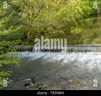 Wehr/Wasserfall auf dem Fluss Krümmer, Ilam Hall, Ilam Park, Ilam, Peak District, Staffordshire, Großbritannien Stockfoto