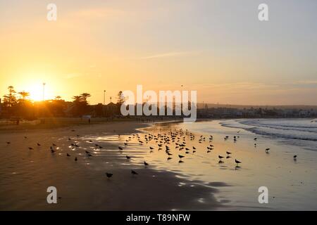 Marokko, Mogador, Marrakesch Safi region, Essaouira, als Weltkulturerbe von der UNESCO, der Strand Stockfoto