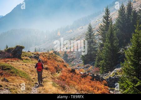 Frankreich, Isère, Nationalpark Ecrins, veneon Tal, Wanderung von Saint-Christophe-en-Oisans zur Zuflucht von L'Alpe du Pin Stockfoto