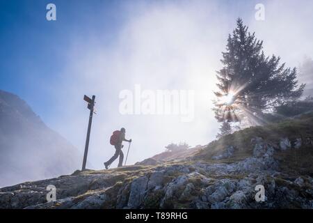 Frankreich, Isère, Nationalpark Ecrins, veneon Tal, Wanderung von Saint-Christophe-en-Oisans zur Zuflucht von L'Alpe du Pin Stockfoto