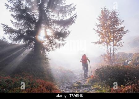 Frankreich, Isère, Nationalpark Ecrins, veneon Tal, Wanderung von Saint-Christophe-en-Oisans zur Zuflucht von L'Alpe du Pin Stockfoto