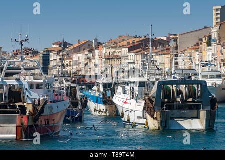 Frankreich, Herault, Sete, Rückkehr von Fischen an der Fischer Markt Stockfoto