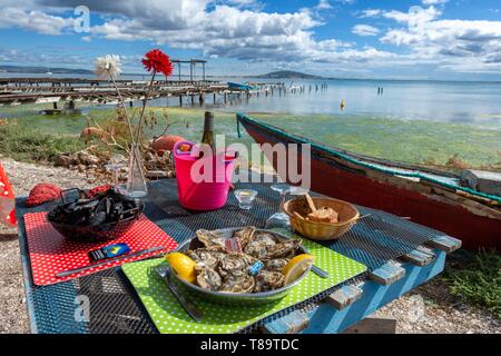 Frankreich, Herault, Meze, Oyster Farm Chez Cati, Platte von Austern und Topf von Formen auf einem Tisch an der Grenze von der Lagune von Thau