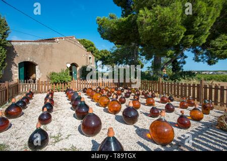 Frankreich, Herault, Vic-la-Gardiole, De La Plaine Domain, bombonnes von Muscat von Frontignan Stockfoto