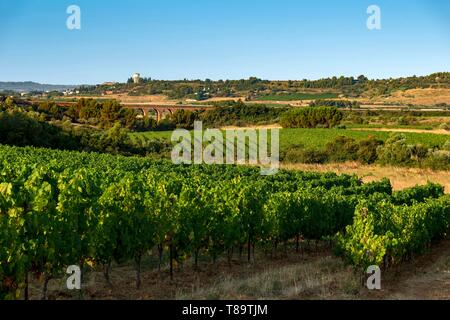 Frankreich, Herault, Lodève, Roquemale domain, Landschaft der Weinberge mit einer ehemaligen Eisenbahnbrücke im Hintergrund Stockfoto