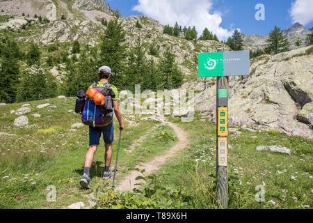 Frankreich, Alpes Maritimes, Nationalpark Mercantour, Haute Vésubie, Madone de Fenestre Tal, Abgrenzung Zeichen der zentralen Zone oder Herz (68495 ha) der Nationalpark Mercantour, wandern zu Prals See Stockfoto