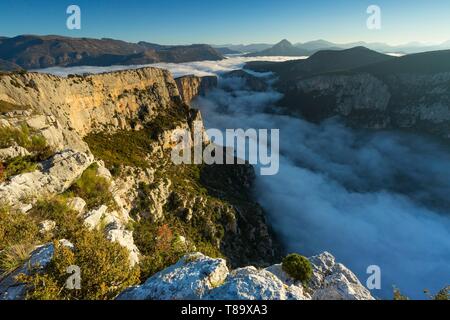 Frankreich, Alpes-de-Haute-Provence, Regionaler Naturpark Verdon, Grand Canyon du Verdon, Felsen aus dem Pas de la Bau Belvedere gesehen Stockfoto