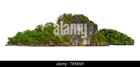 Die Insel in der Mitte des grünen Meer weißen Hintergrund vom Hintergrund getrennt isolieren Stockfoto