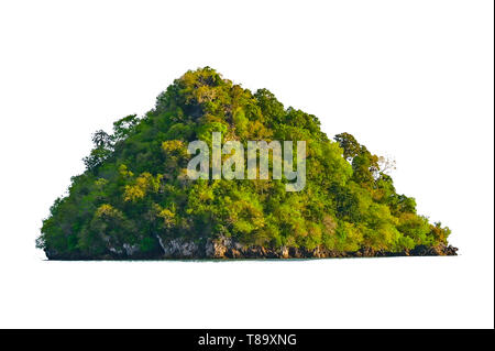 Die Insel in der Mitte des grünen Meer weißen Hintergrund vom Hintergrund getrennt isolieren Stockfoto