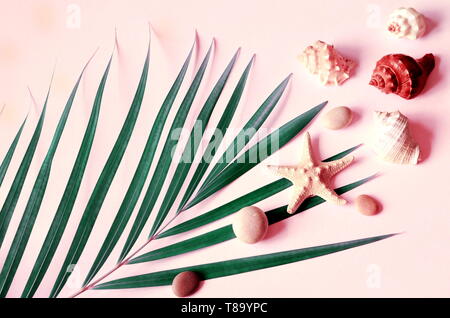 Sommer vibes. Tropische palm leaf, Muscheln und Seesterne. Flach, Ansicht von oben. Rosa Hintergrund Stockfoto