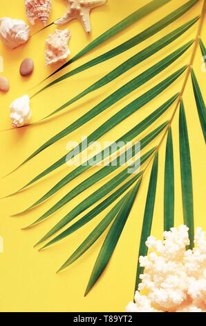 Sommer vibes. Tropische palm leaf, Muscheln und Seesterne. Flach, Ansicht von oben. Gelber Hintergrund Stockfoto