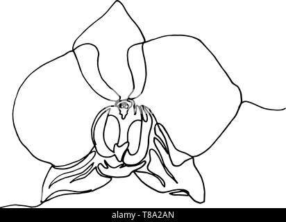 Hand gezeichnet Orchideenblüte, einer einzigen Linie zeichnen. Stock Vektor