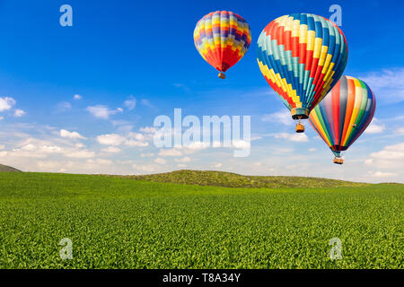 Heißluftballons über üppig grüne Landschaft und blauer Himmel. Stockfoto