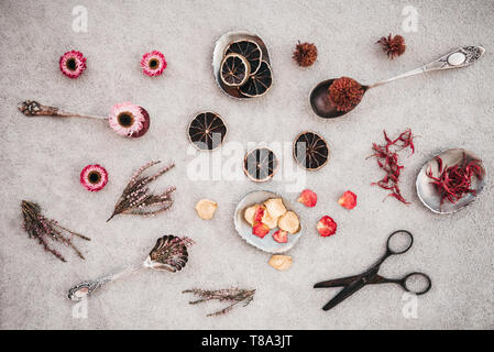 Rusty vintage Schere, Kräuter und Blumen auf konkreten Hintergrund. Stockfoto