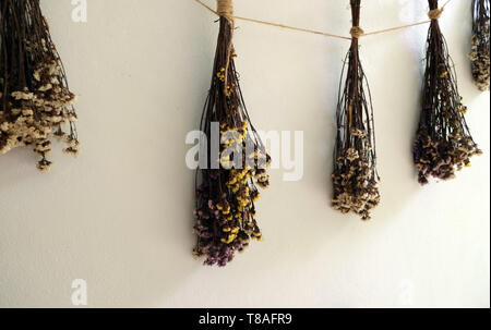 Bukett von getrockneten Blumen hängend am Seil gegen Holz-, Dekor Wand backgrounde Stockfoto