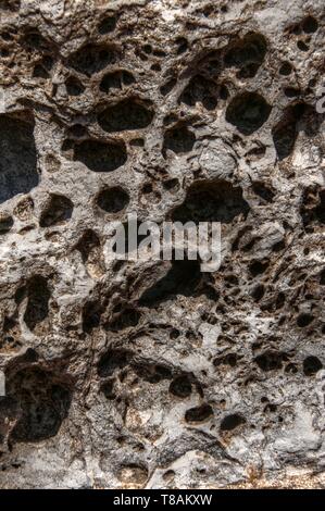 Lochfraß in den roten Sandsteinfelsen von Sidmouth, Devon Stockfoto