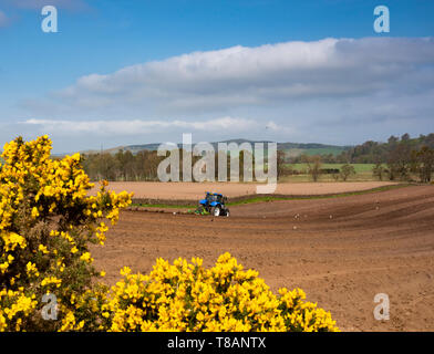 Die Felder pflügen, Angus Glens, Schottland Stockfoto