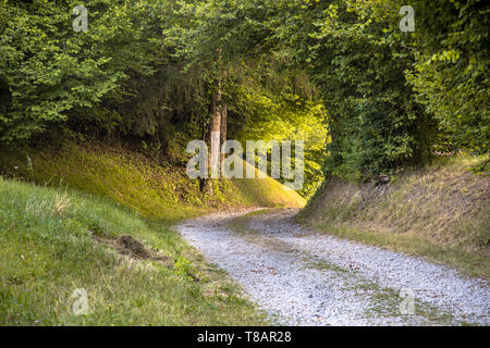 Tunnel von Laub im unbefestigten Landstraße als Konzept für die ungewisse Zukunft Perspektive Stockfoto