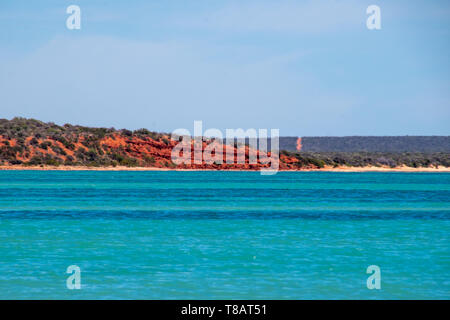 Roter Sand Stone Cliff am Strand von Shark Bay Australien Stockfoto