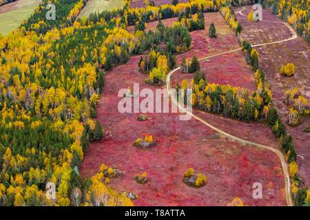 Kanada, Provinz Quebec, der Charlevoix Region vom Himmel, dem Fluss und der Bereich der Blaubeeren rot im Herbst (Luftbild) Stockfoto