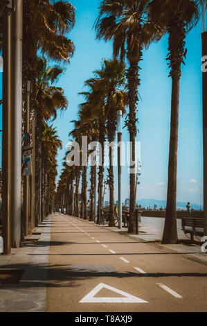 Der Kalifornische Traum entlang der Küste von Barcelona, gesäumt mit Palmen im Sommer - Kalifornien vibe Stockfoto