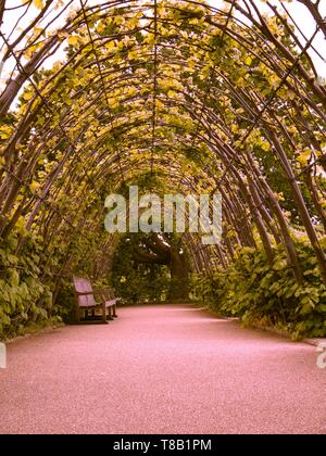 Die Wiege am versunkenen Garten, Kensington Palace Gardens, Hyde Park, London, UK Stockfoto