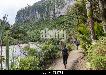 Neuseeland, Südinsel, West Coast Region, Pororari Fluss Stockfoto