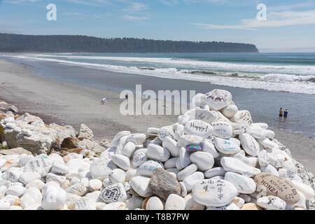 Neuseeland, Südinsel, West Coast Region, West Coast zwischen Haast und Greymouth und die Tasmanische See Stockfoto