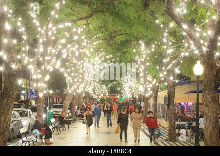 Portugal, Madeira, Funchal, Avenida Arriaga, Weihnachtsschmuck Stockfoto