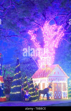 Portugal, Madeira, Funchal, Avenida Arriaga, Stadtgarten, Weihnachtsdekorationen in der Dämmerung Stockfoto