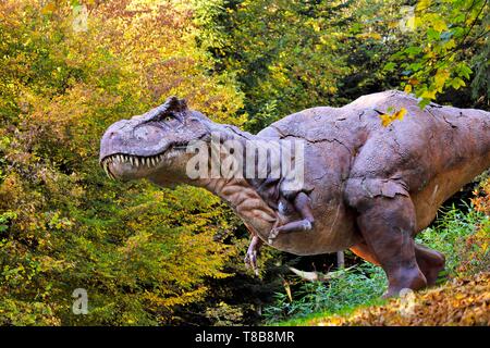 Frankreich, Doubs, Charbonnieres Les Sapins, Dino prähistorischen Tierpark, Tyrannosaurus rex Stockfoto