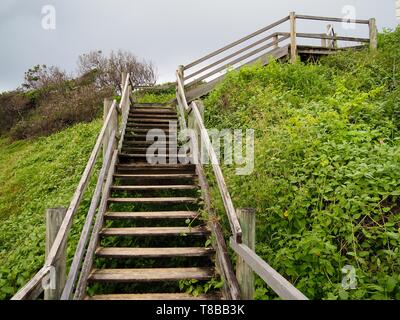 Nur wenige Schritte von der Landzunge zum Strand, umgeben von üppiger grüner Vegetation und Pflanzen am Meer Stockfoto