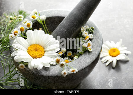 Kamillenblüten in Mörtel auf Tisch Stockfoto