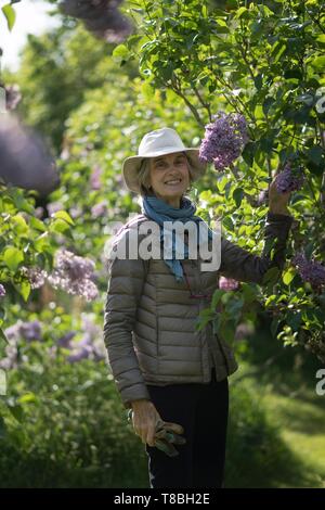 Frankreich, Morbihan, Belle-Ile Insel, Bangor, Veronique de Laboulaye in seinem Garten La Boulaye Stockfoto