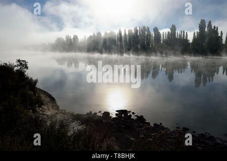 Frankreich, Seine-Maritime, Pays de Caux, im Regionalen Naturpark der Boucles de la Seine, Duclair, der Seine im Morgennebel Stockfoto