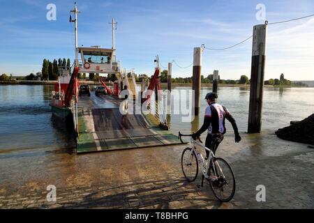 Frankreich, Seine-Maritime, im Regionalen Naturpark der Boucles de la Seine, die Fähre der Seine Kreuzung im Dorf La Bouille, Radfahrer auf der Veloroute von Val de Seine Stockfoto