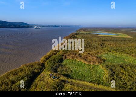 Frankreich, Seine Maritime, Naturpark der Seine-mündung, Frachtschiff, der Seine von Rouen, der Reed Bett im Vordergrund und die Normandie Bridge im Hintergrund (Luftbild) Stockfoto